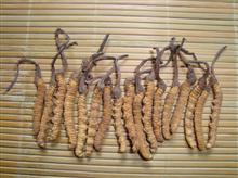虫草1800条/kg